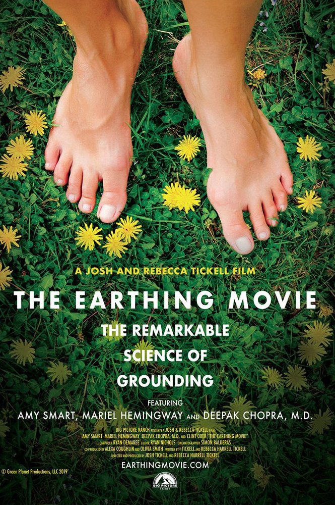 Постер The Earthing Movie